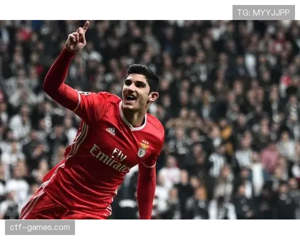 法兰克福深化转会策略，聚焦新星引援以提升球队竞争力